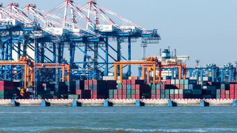 8月進出口增速雙降,政策托底外貿仍具韌性