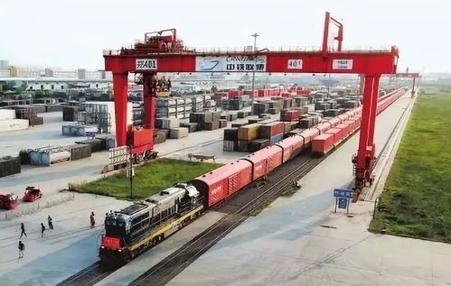 海關重拳出擊 拒絕“洋垃圾”，寧波海關退運超600噸禁入廢紙